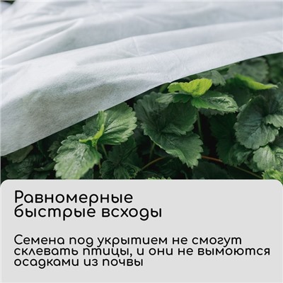 Материал укрывной, 5 × 1.6 м, плотность 20 г/м², спанбонд с УФ-стабилизатором, белый, Greengo, Эконом 30%