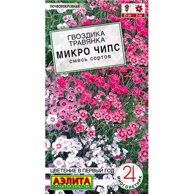 Гвоздика Микро чипс многолетняя (Код: 92765)