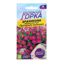 Семена Брахикома "Пурпурная малышка", 0,05 гр.