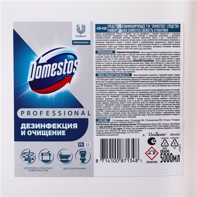 Чистящее средство универсальное DOMESTOS PROFESSIONAL Свежесть атлантики, гель, 5 л