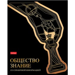 Тетрадь 46 л. клетка предметная Золотые детали ОБЩЕСТВОЗНАНИЕ 46Т5лофВd1_30568 Hatber в Екатеринбурге