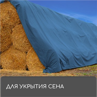 Тент защитный, 5 × 4 м, плотность 60 г/м², УФ, люверсы шаг 1 м, голубой