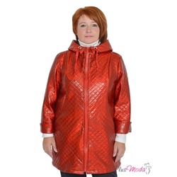 Толстовка-куртка Модель №1002 размеры 44-84