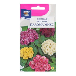 Семена цветов Примула Махровая "Палома", микс, 3 шт