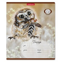 Тетрадь  12л клетка "Dream Owl" 52938 ErichKrause