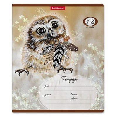 Тетрадь  12л клетка "Dream Owl" 52938 ErichKrause