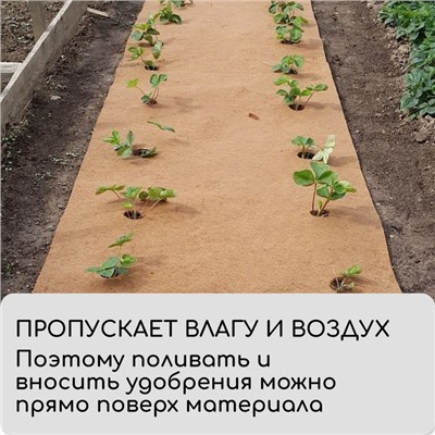 Кокосовое полотно для мульчирования, 3 × 0,75 м, «Мульчаграм»