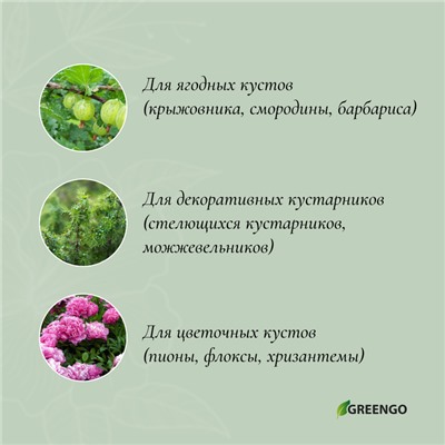 Кустодержатель, d = 40 см, h = 60 см, ножка d = 0.3 см, металл, набор 2 шт., зелёный, Greengo