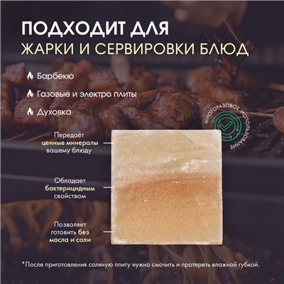 Кирпич из иранской горной соли, 10х10х3 см, цвет микс