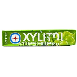 Жевательная резинка Мускат Xylitol Lotte, Япония, 21 г