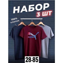 Футболка мужская 3 шт R145169