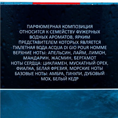 Туалетная вода мужская Uragan Water, 100 мл (по мотивам Acqua Di Gio (G.Armani)