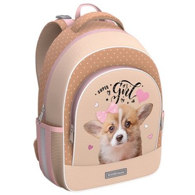 Рюкзак школьный "ErgoLine. Corgi Puppy" 15L 39х28х14 см 60094 ErichKrause