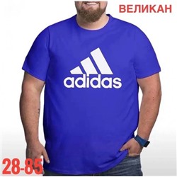 Футболка мужская R126916