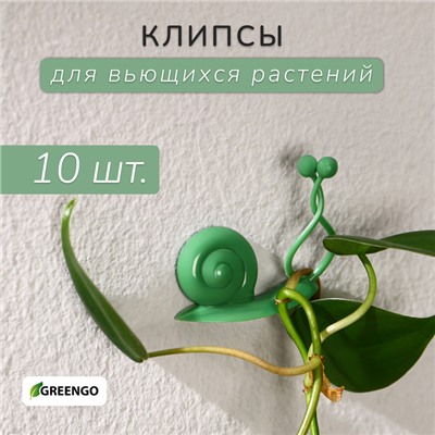 Крепления для вьющихся растений, настенные, самоклеящиеся, «Улитка», d = 10 мм, набор 10 шт., Greengo