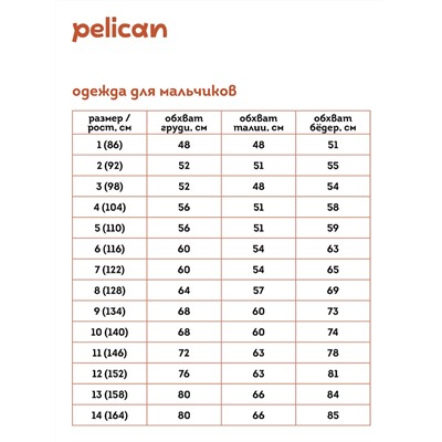 BZIM3352 (Ветровка для мальчика, Pelican )