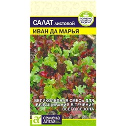 Салат Иван да Марья Сем.Алтая