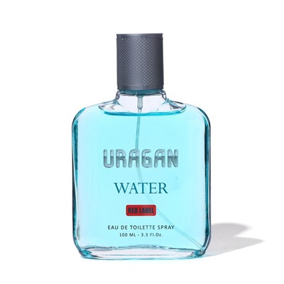 Туалетная вода мужская Uragan Water, 100 мл (по мотивам Acqua Di Gio (G.Armani)