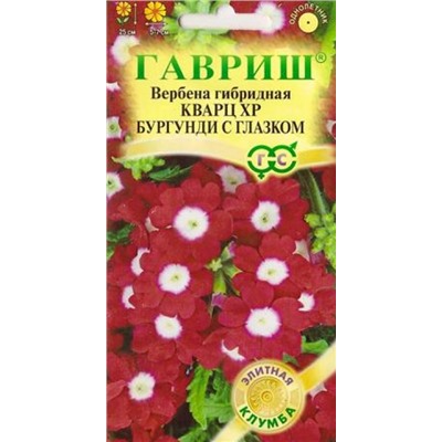 Вербена Кварц ХР Бургунди с глазком (Код: 84671)