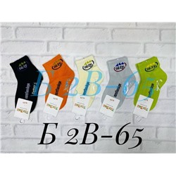 Детские тонкие носки для мальчиков 10 пар R278647