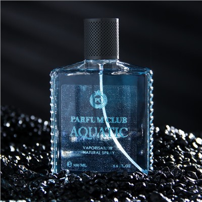 Туалетная вода мужская Parfum Club Aquatic, 100 мл (по мотивам Acqua Di Gio (G.Armani)