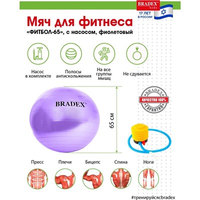 Фитбол Bradex «ФИТБОЛ-65» d=65 см, с насосом, фиолетовый