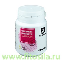 Натурведъ №10 "Глюкозамин.Хондроитин.Дигидрокверцитин" (60 кап*0,5 гр.) "Алтаведъ"