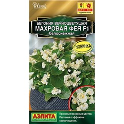 Бегония Фея белоснежная махр. F1 (Код: 90987)