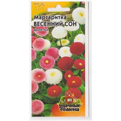 Маргаритка Весенный Сон (Код: 16782)