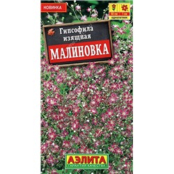 Гипсофила Малиновка изящная  (Код: 92429)