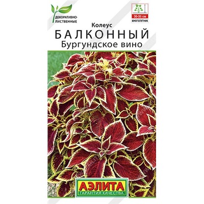 Колеус Бургундское вино (Код: 91010)