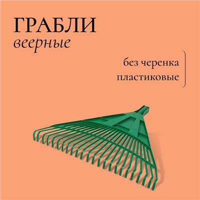 Грабли веерные, пластинчатые, 24 зубца, пластик, тулейка 25 мм, без черенка