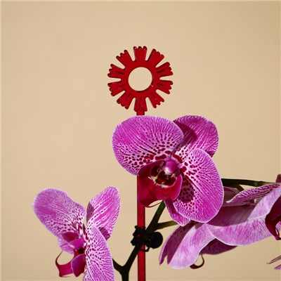 Опора для орхидей, h = 44 см, пластик, малиновая, МИКС