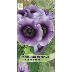 Глоксиния Харизма Лавандовая (Код: 81957)