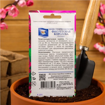 Семена цветов Цинния георгин. "Фиолетовая королева",0,3 гр